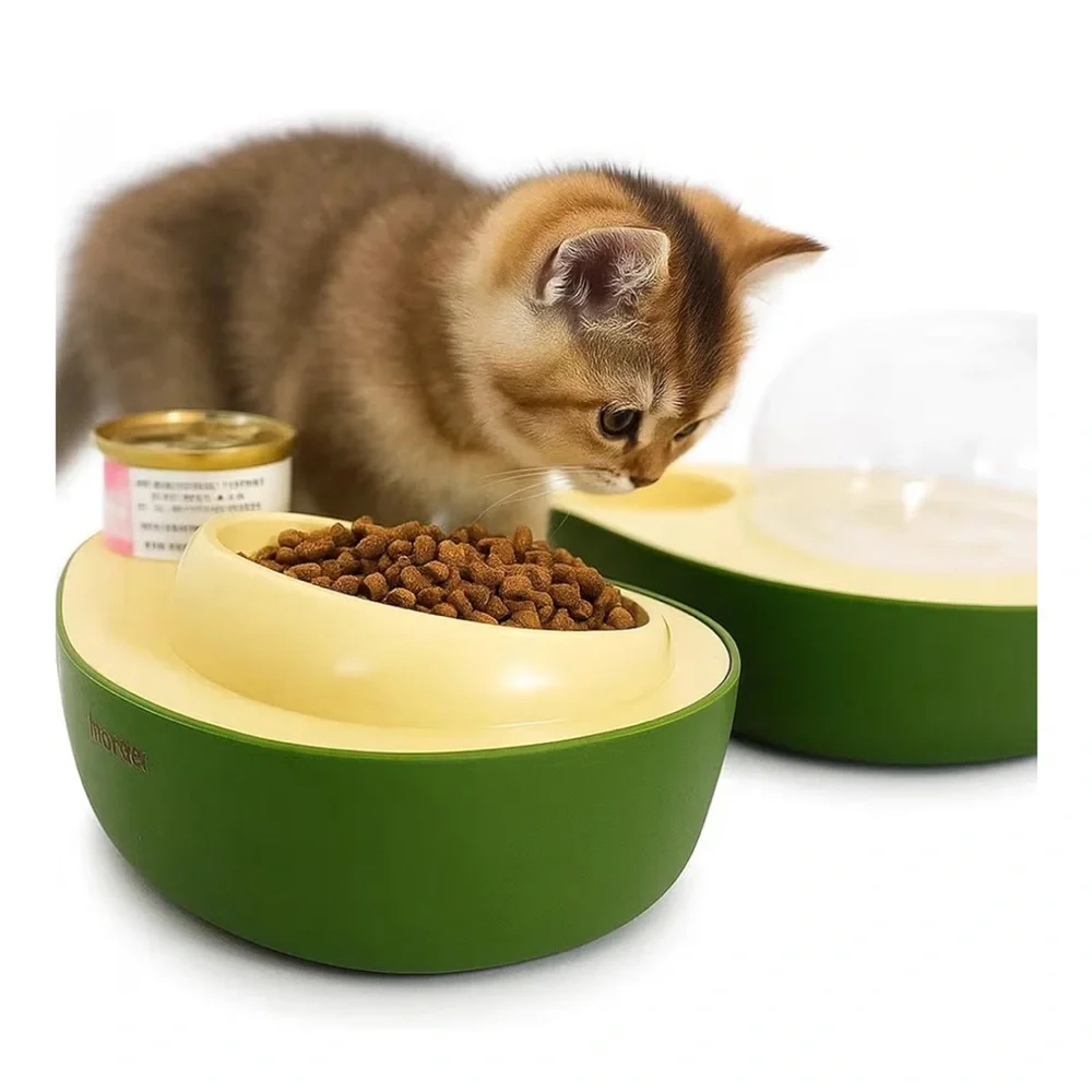 Pet Cat Dual Feeding Bowl in Green and Cream - Brand Unspecified